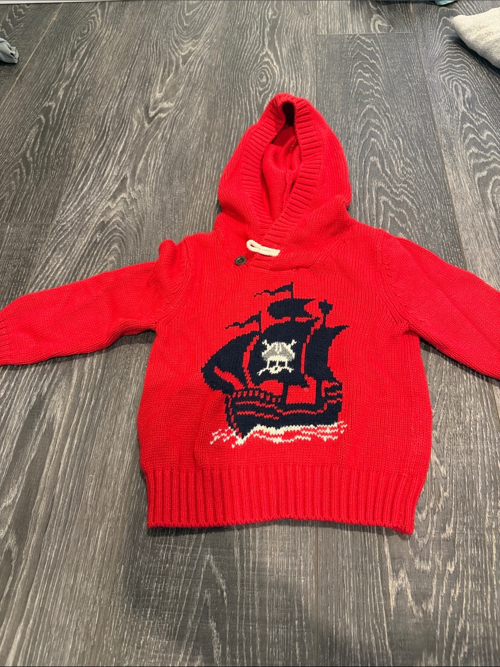 Baby GAP toddler hooded sweater 2T